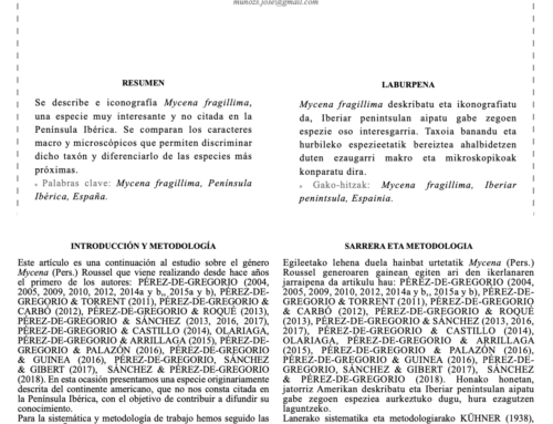 2021 – Mycena fragillima A.H. Smith en la Península Ibérica