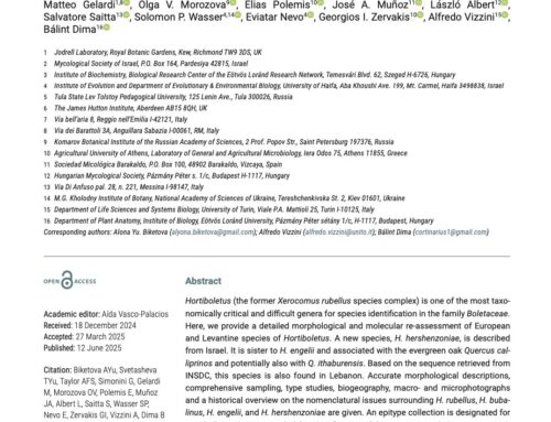 2025 – Morphological and molecular re-assessment of European and Levantine species of the genus Hortiboletus (Boletaceae)