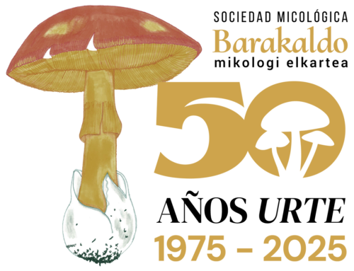 BALANCE 50 ANIVERSARIO SOCIEDAD MICOLOGICA BARAKALDO